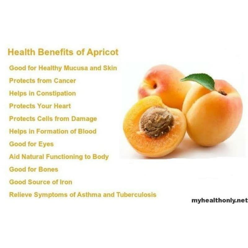 Apricot Kering Cemilan Diet Trio Natural