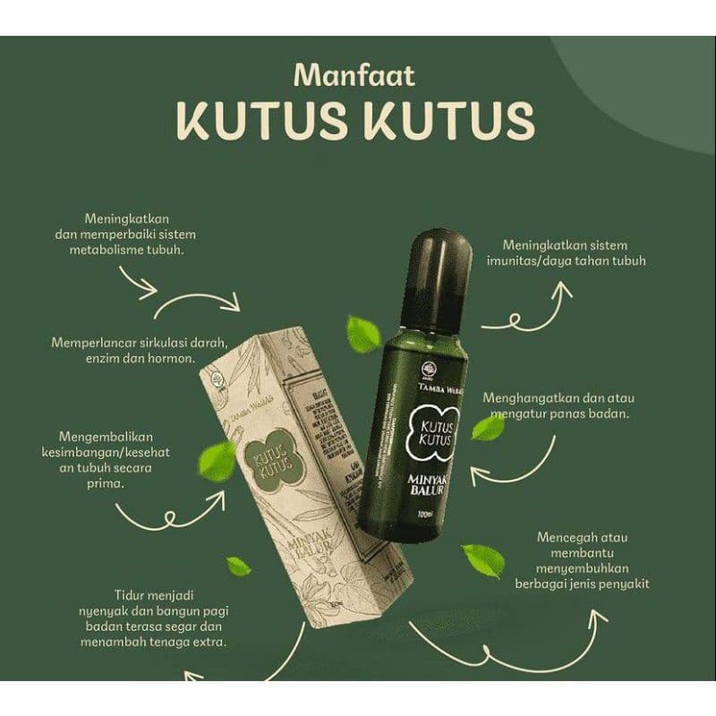 Minyak Kutus Kutus Asli